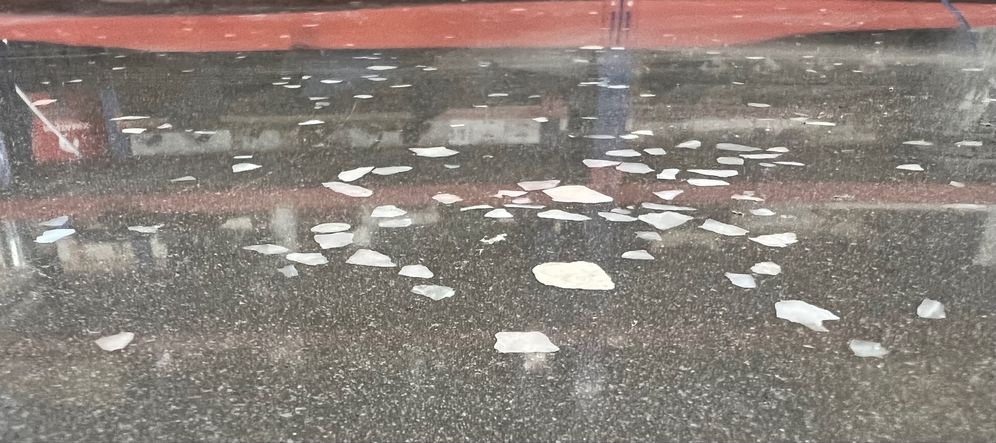 Concrete polishing example 2
